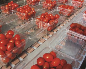 Cabinplant clamshell packing