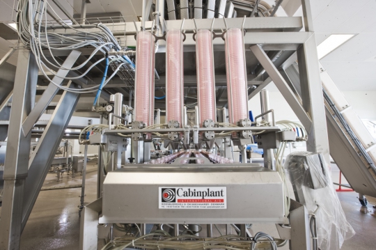 Dispenser for plastic container