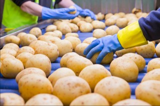 Který optický třídič TOMRA je pro vás ten pravý?